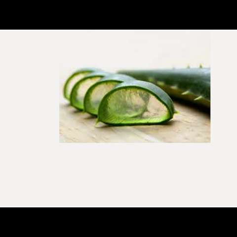 Photo: Healthy Cactus NT
