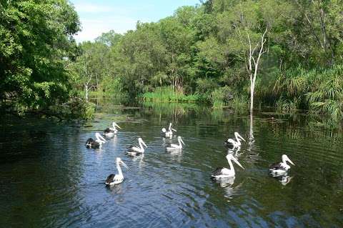 Photo: Territory Wildlife Park